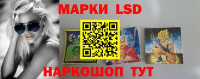 спайс Берёзовский