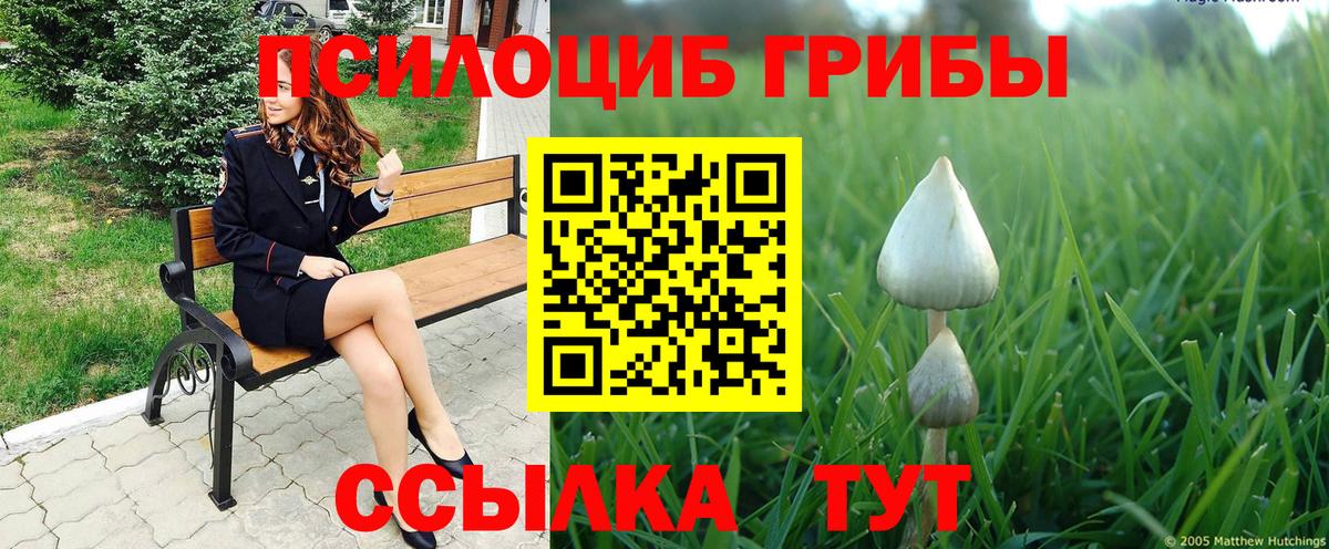 Клин  закладка  Псилоцибиновые грибы MAGIC MUSHROOMS  Вход с VPN  Псилоцибиновые грибы Psilocybine cubensis 