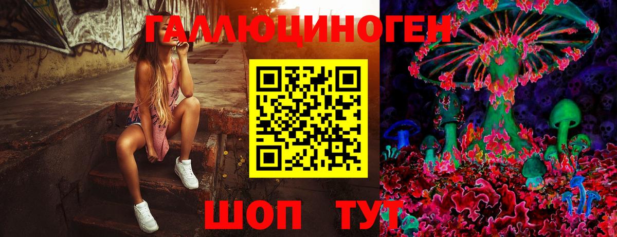 Псилоцибиновые грибы Psilocybine cubensis Клин